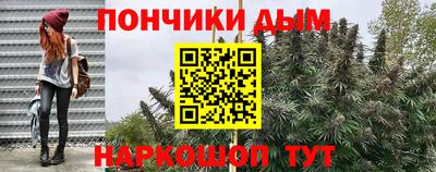 стаф Тара