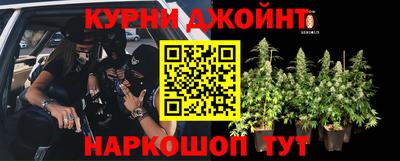 стаф Тара