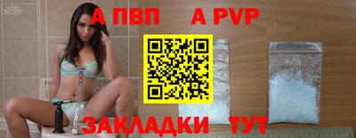 стаф Тара