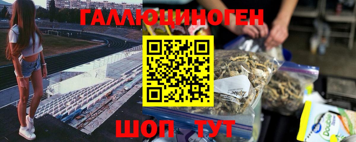 Петропавловск-Камчатский  Псилоцибиновые грибы прущие грибы  Вход с VPN 