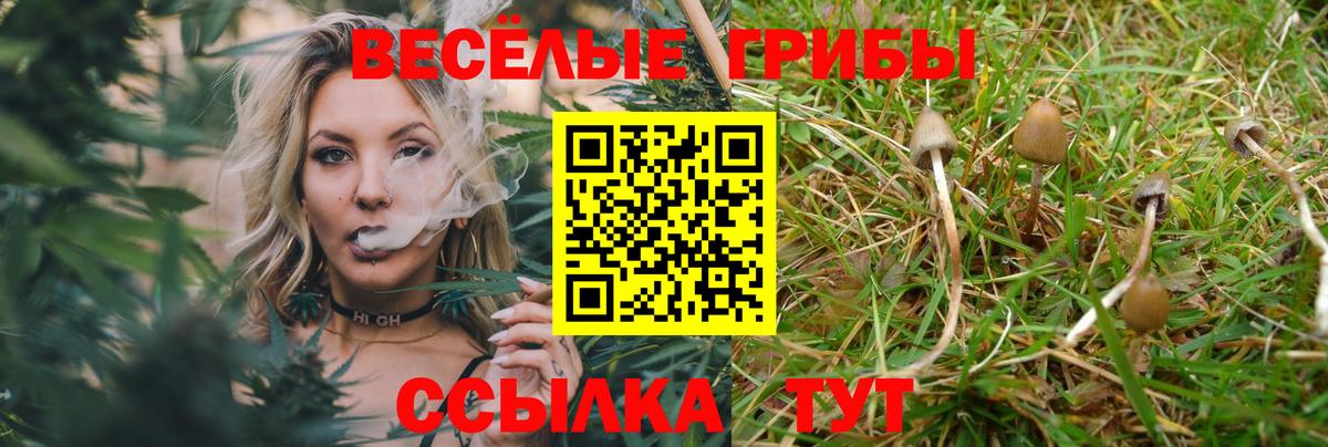 Галлюциногенные грибы MAGIC MUSHROOMS Петропавловск-Камчатский
